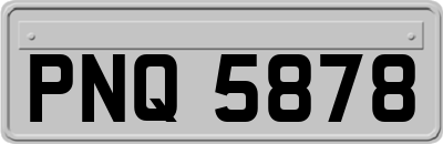 PNQ5878