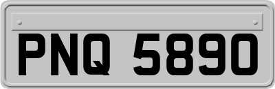 PNQ5890