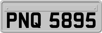 PNQ5895