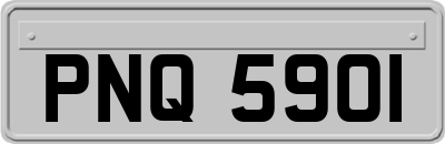 PNQ5901
