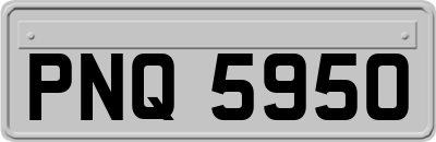 PNQ5950