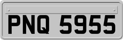 PNQ5955
