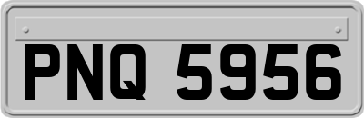 PNQ5956
