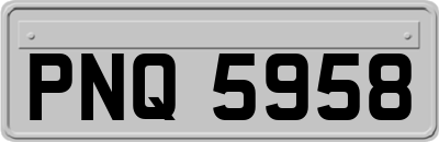 PNQ5958