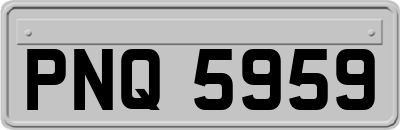 PNQ5959