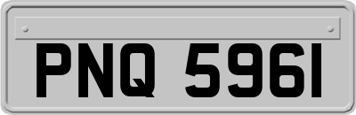 PNQ5961