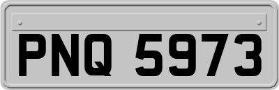 PNQ5973
