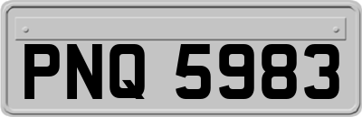 PNQ5983