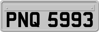 PNQ5993