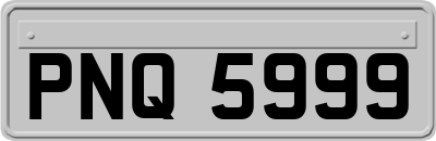 PNQ5999