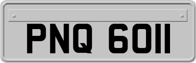 PNQ6011