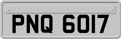 PNQ6017