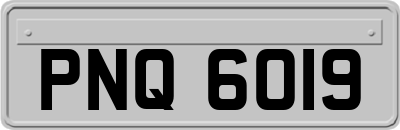 PNQ6019