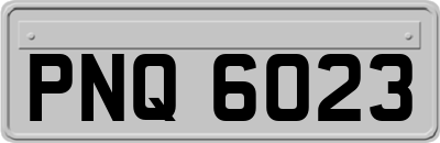 PNQ6023