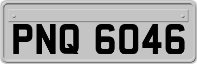 PNQ6046