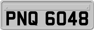 PNQ6048