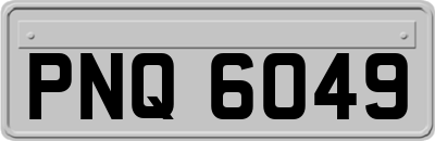 PNQ6049