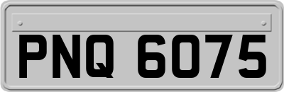 PNQ6075