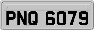 PNQ6079