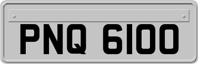 PNQ6100