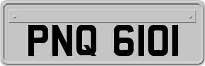 PNQ6101