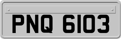 PNQ6103