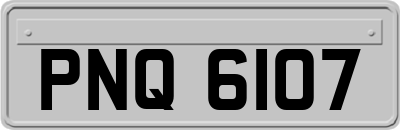 PNQ6107