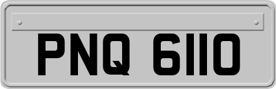 PNQ6110