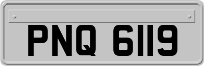 PNQ6119