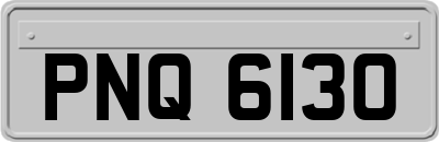PNQ6130