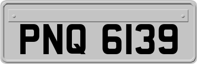 PNQ6139