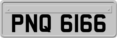 PNQ6166