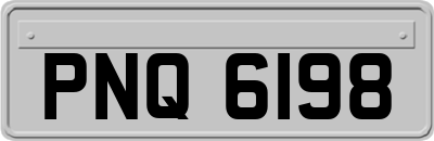 PNQ6198