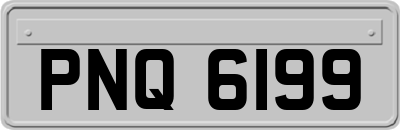 PNQ6199