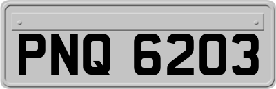 PNQ6203