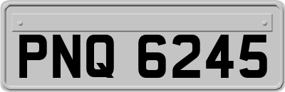 PNQ6245