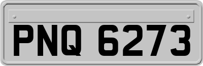 PNQ6273