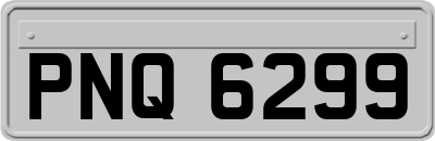 PNQ6299