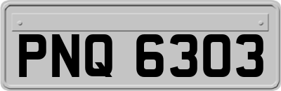 PNQ6303