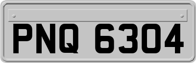 PNQ6304