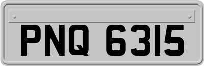 PNQ6315