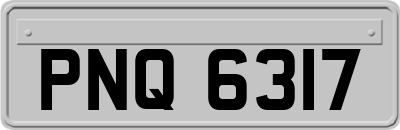 PNQ6317