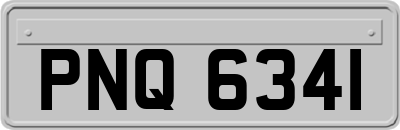 PNQ6341