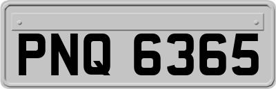 PNQ6365
