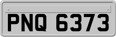 PNQ6373