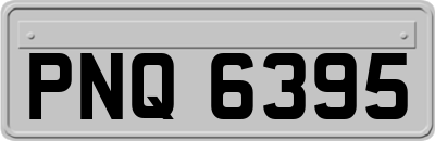 PNQ6395