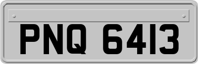 PNQ6413