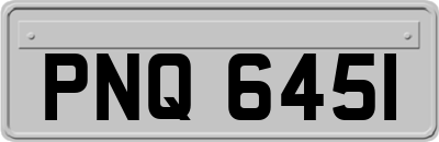 PNQ6451