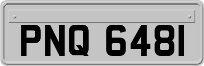 PNQ6481