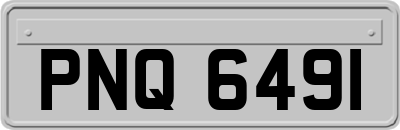 PNQ6491